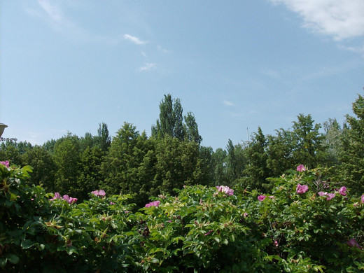 42116 (a): :1600x1200